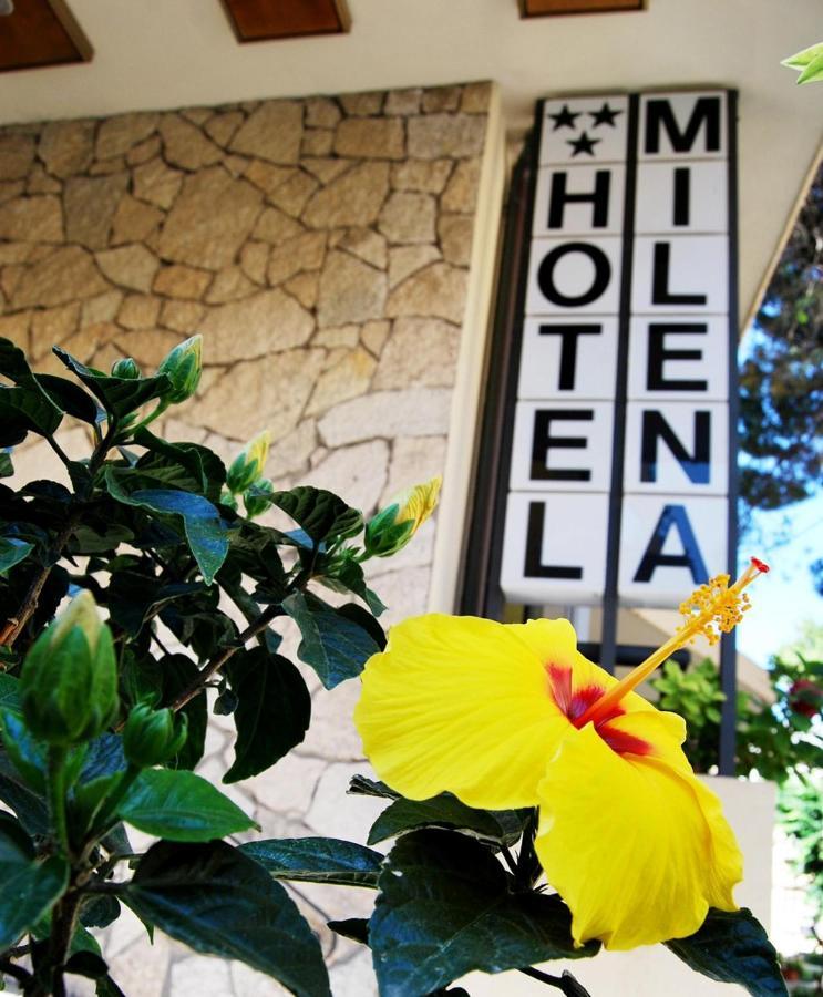 Hotel Milena Rimini Exterior foto